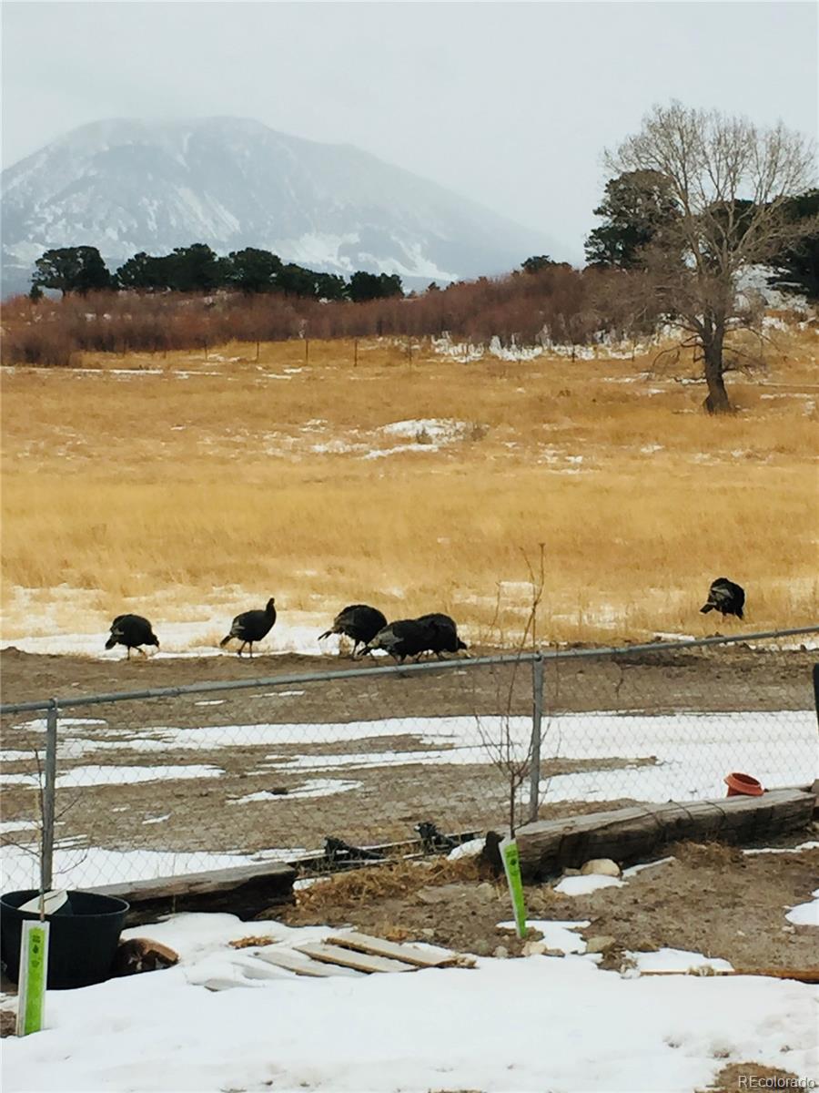 MLS Image #11 for 640  county road 571 ,gardner, Colorado