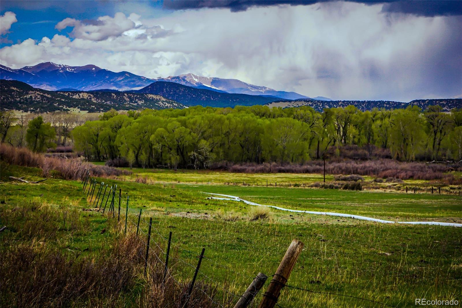 MLS Image #2 for 640  county road 571 ,gardner, Colorado