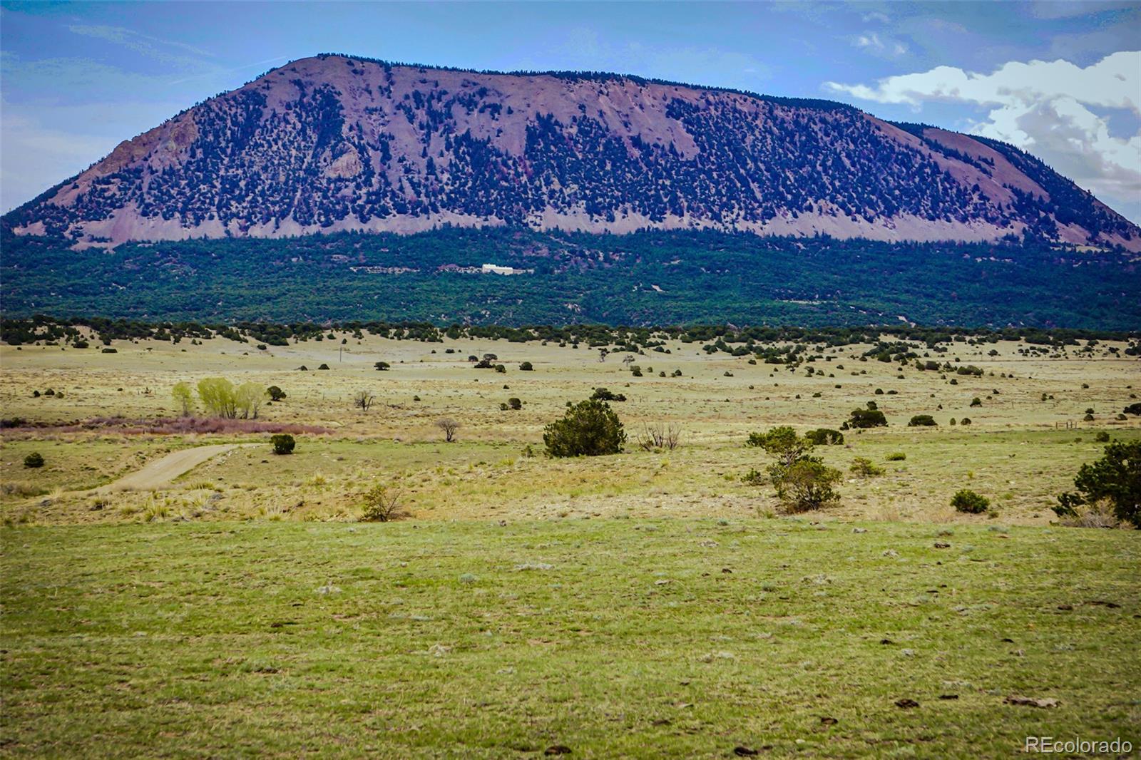 MLS Image #3 for 640  county road 571 ,gardner, Colorado