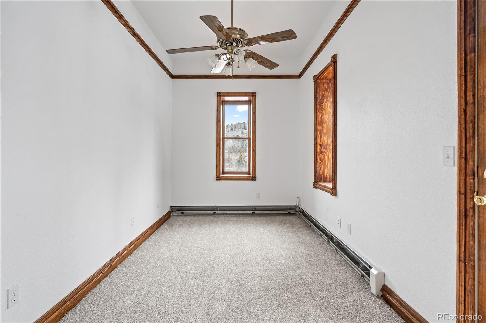 MLS Image #21 for 225  hooper street,central city, Colorado