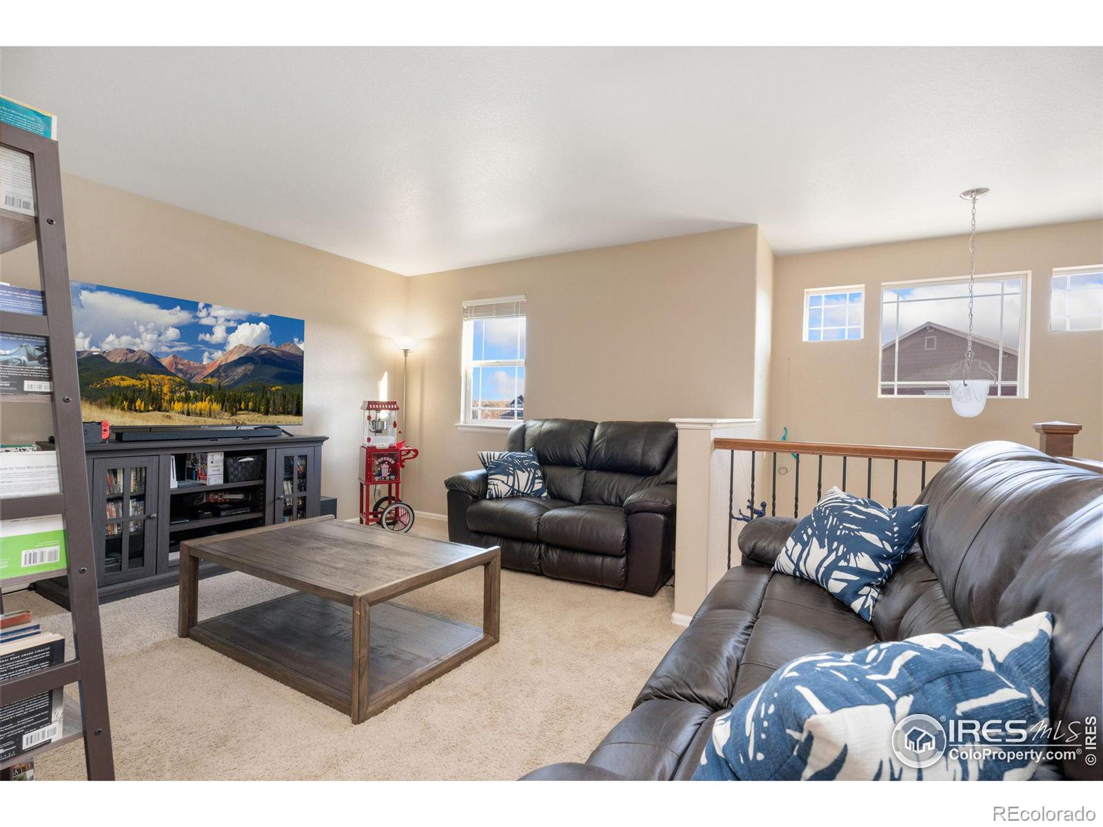 MLS Image #22 for 2084  bayfront drive,windsor, Colorado