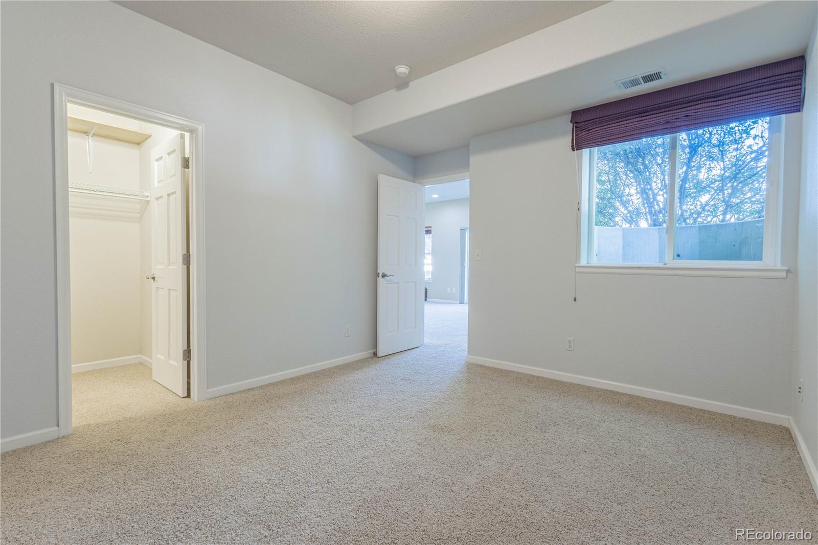 MLS Image #29 for 860  bramblewood drive,castle pines, Colorado