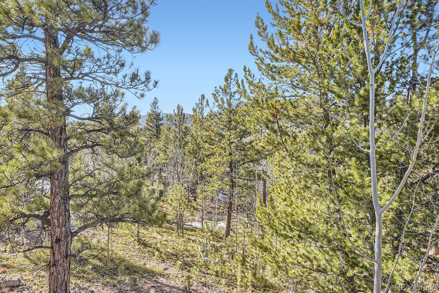 MLS Image #26 for 88  road p69 ,bailey, Colorado