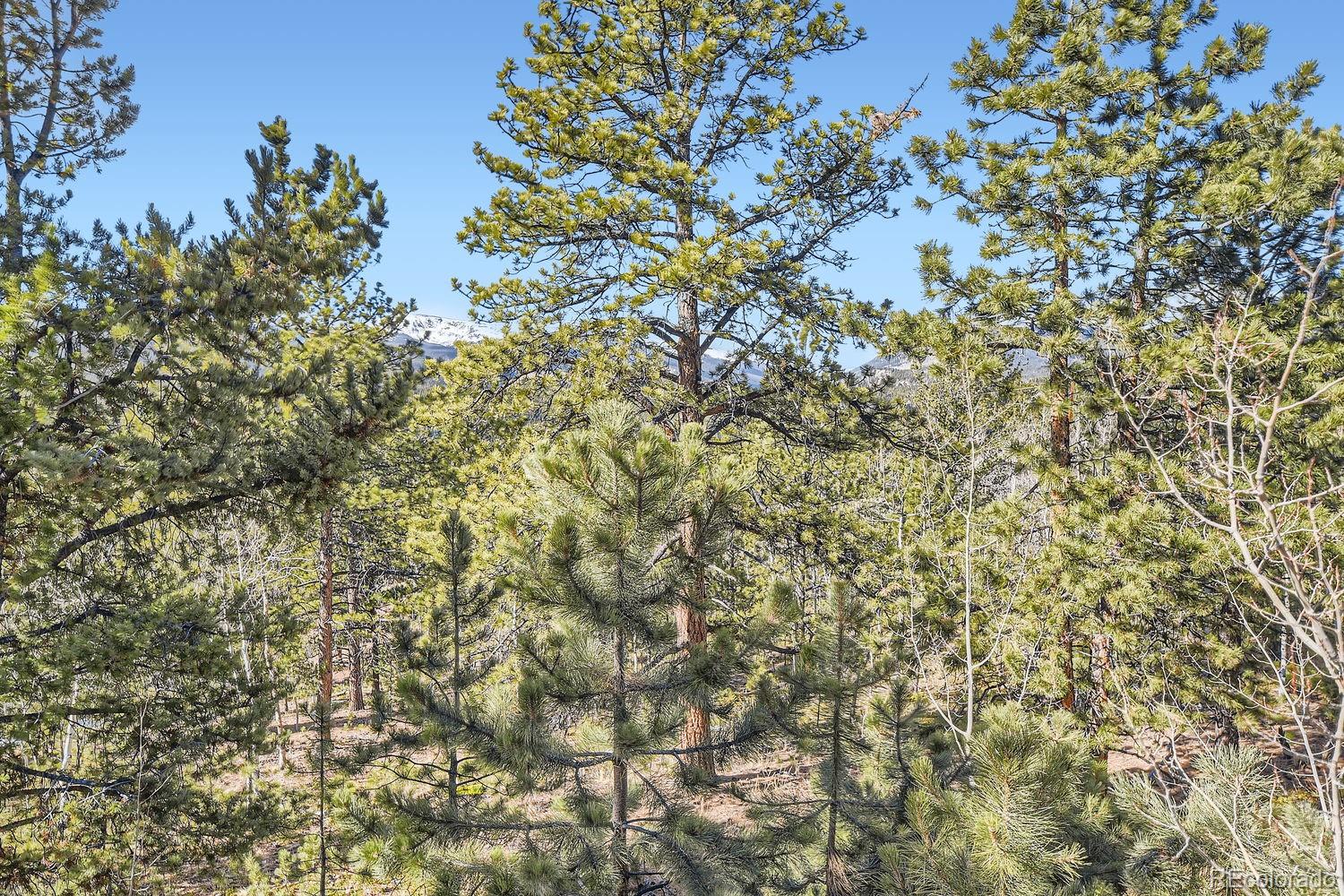 MLS Image #27 for 88  road p69 ,bailey, Colorado