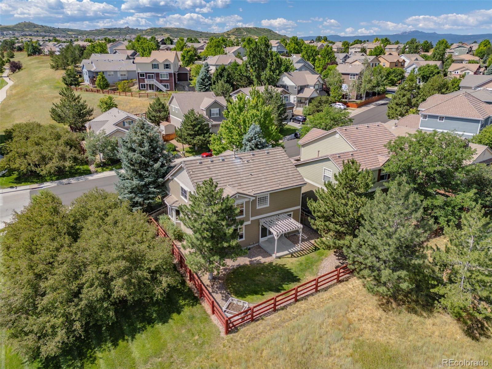 MLS Image #9 for 3931  shane valley trail,castle rock, Colorado