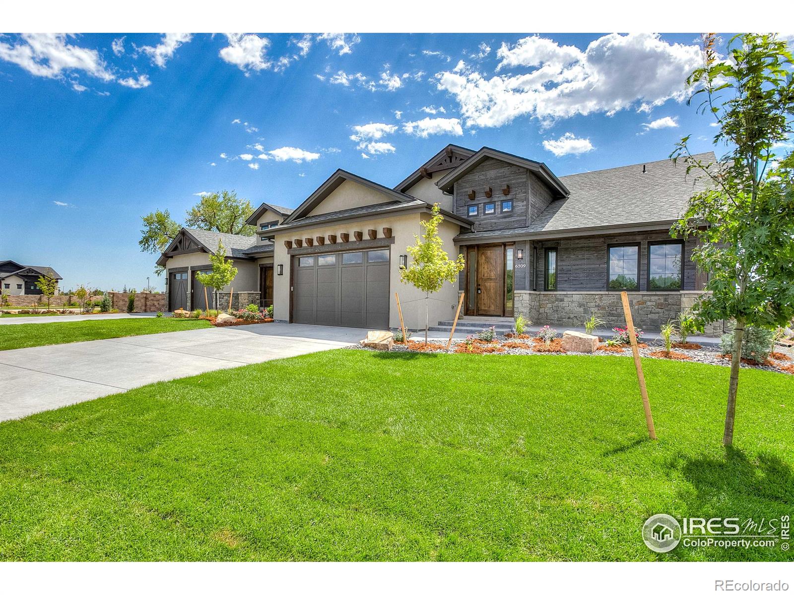 MLS Image #1 for 6309  foundry court,timnath, Colorado