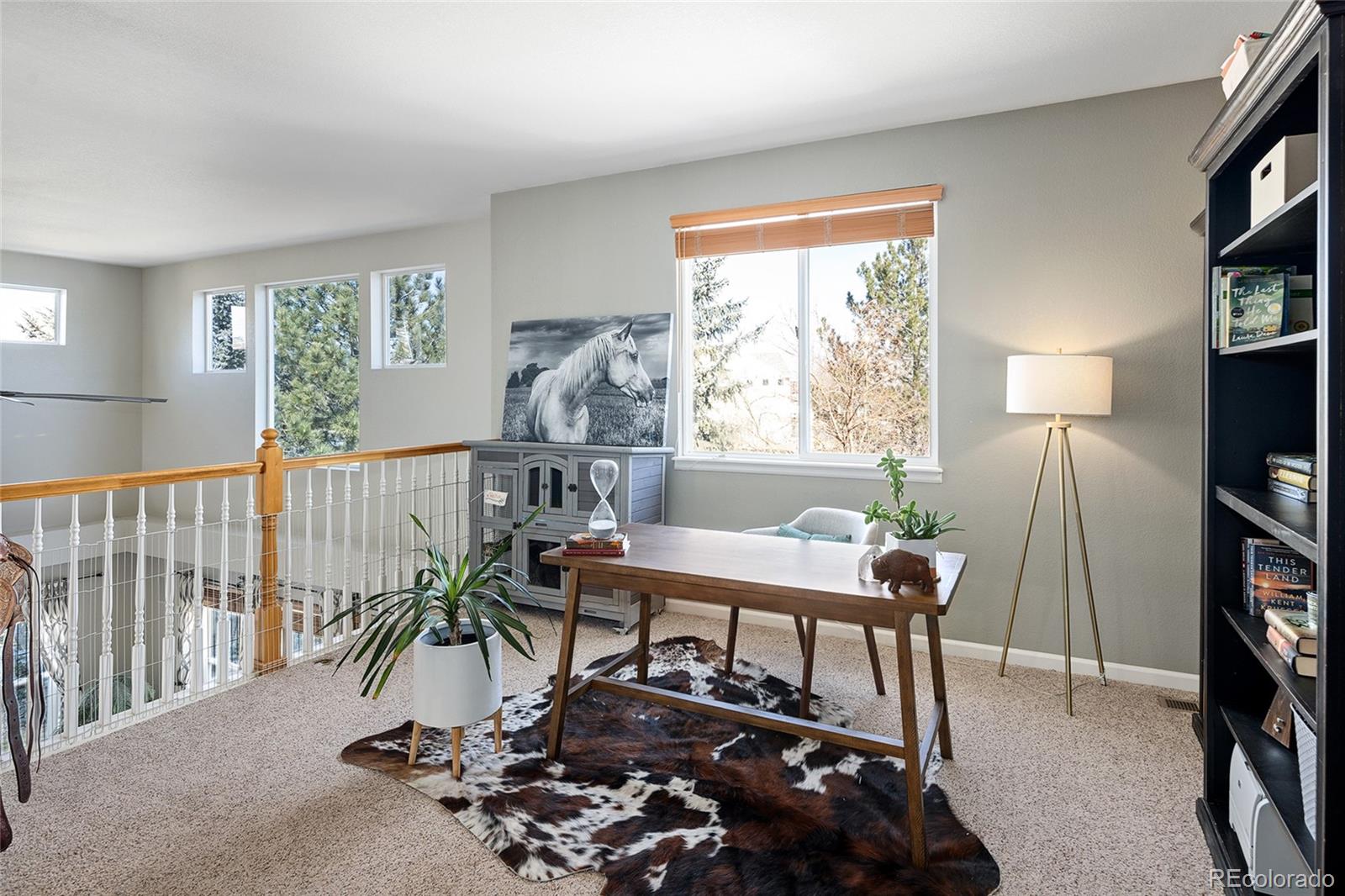 MLS Image #26 for 6290  virgil street,arvada, Colorado