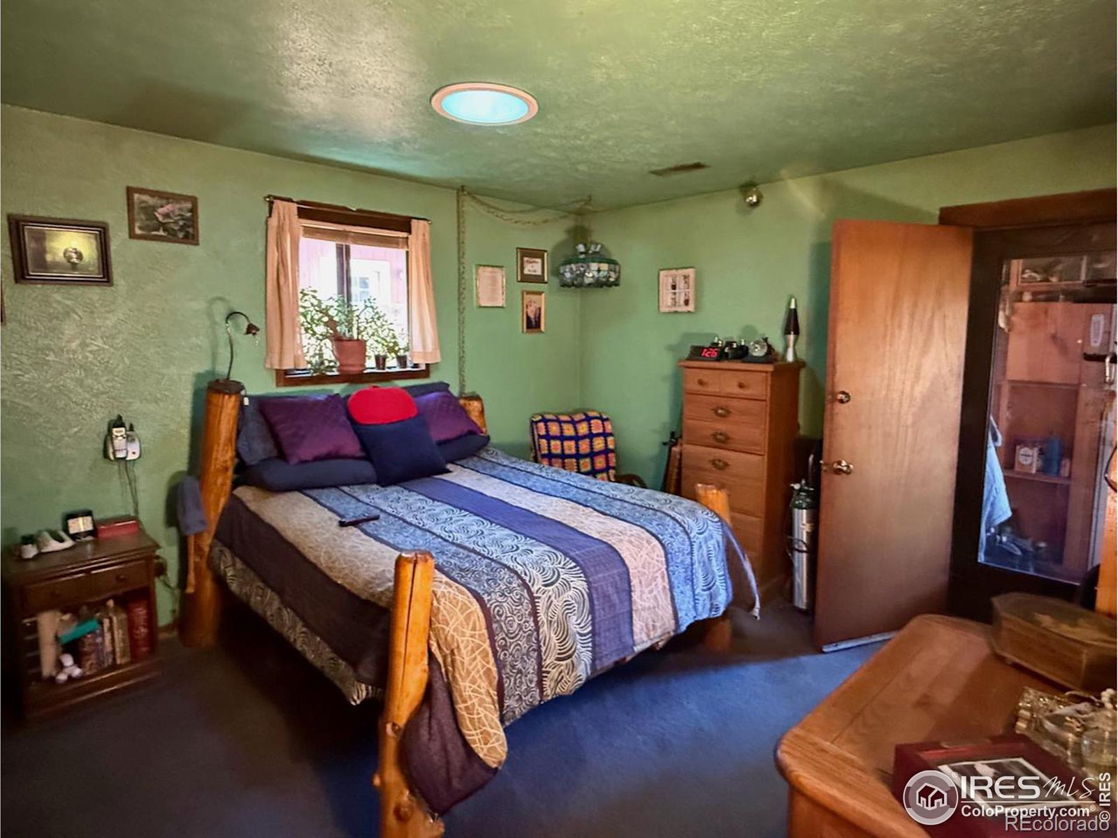 MLS Image #10 for 209 w breed street,nederland, Colorado