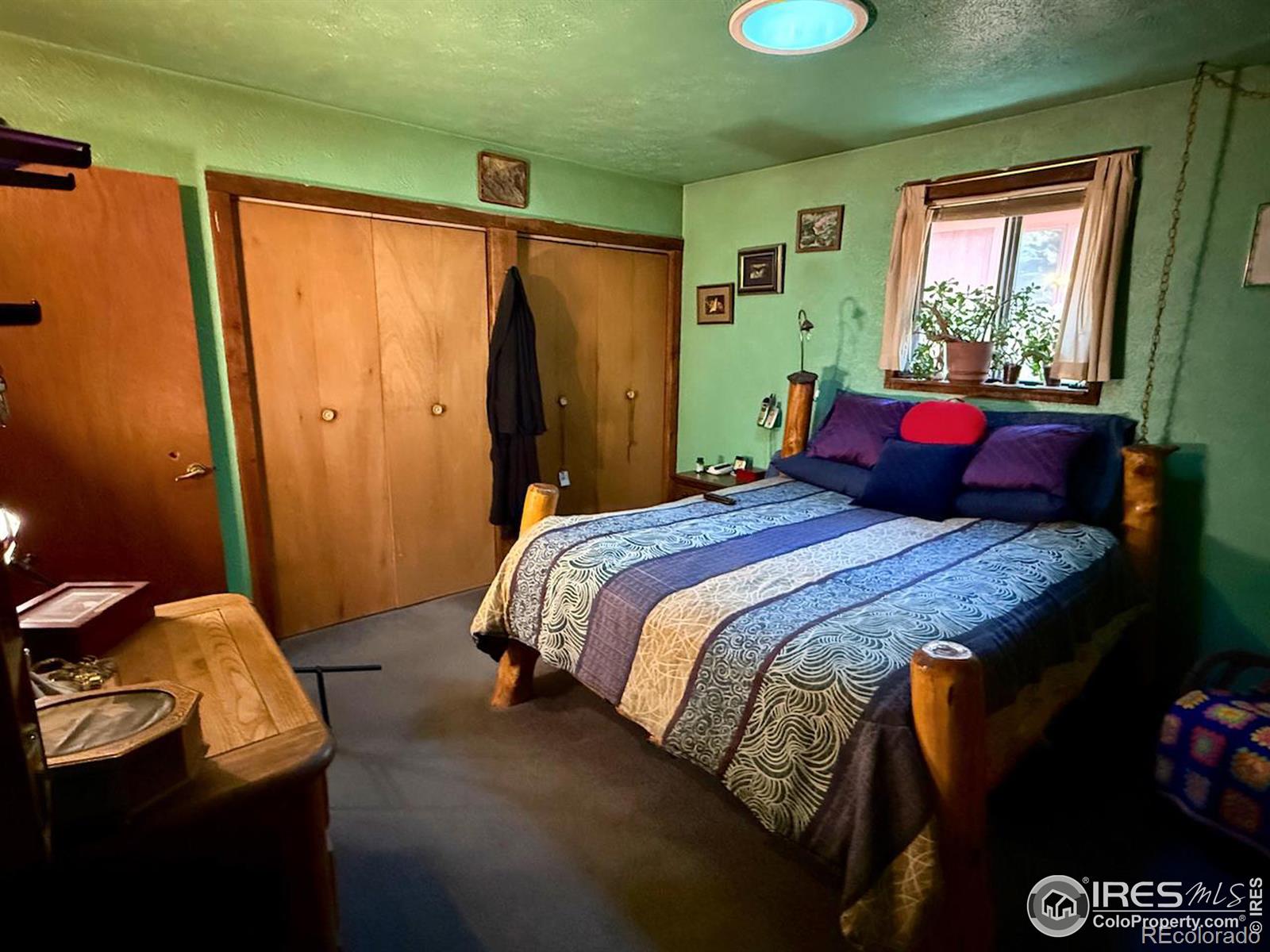 MLS Image #11 for 209 w breed street,nederland, Colorado