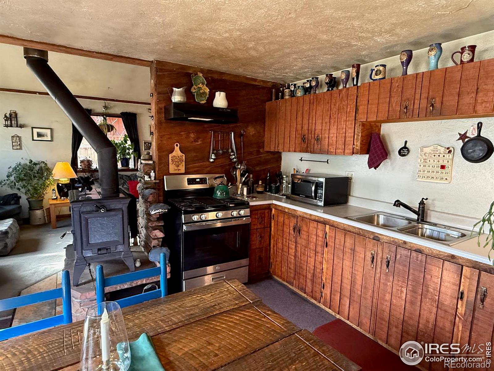 MLS Image #4 for 209 w breed street,nederland, Colorado