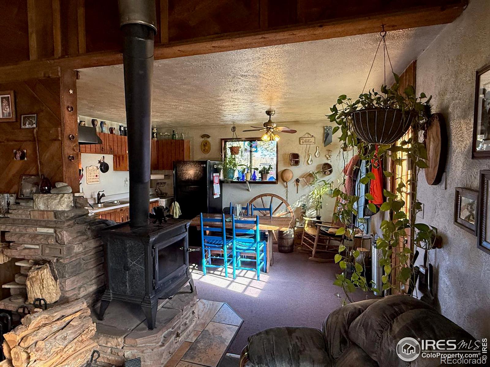 MLS Image #7 for 209 w breed street,nederland, Colorado