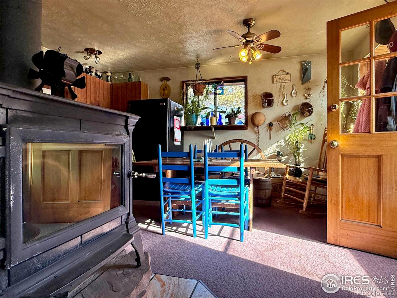 MLS Image #8 for 209 w breed street,nederland, Colorado