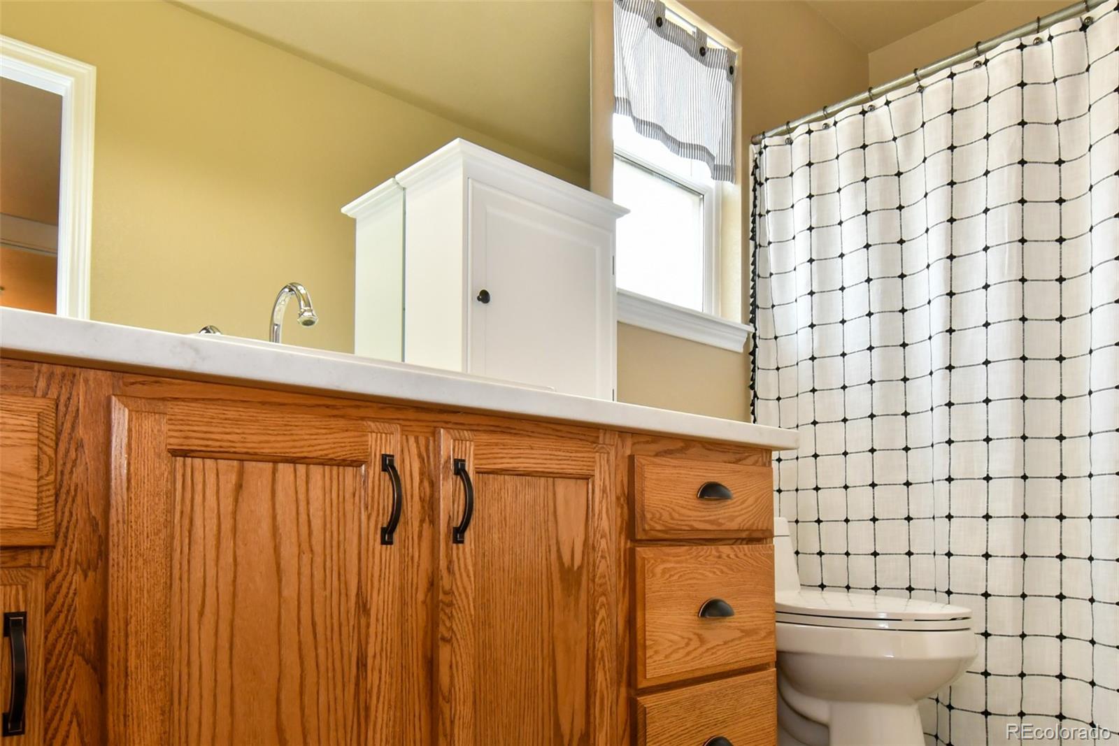 MLS Image #22 for 1168  coneflower way,brighton, Colorado