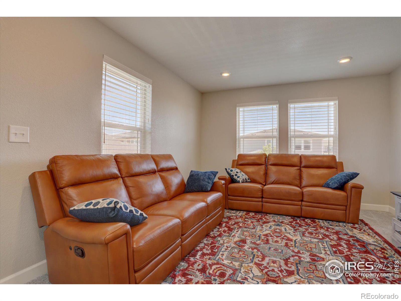 MLS Image #13 for 6172 n liverpool street,aurora, Colorado