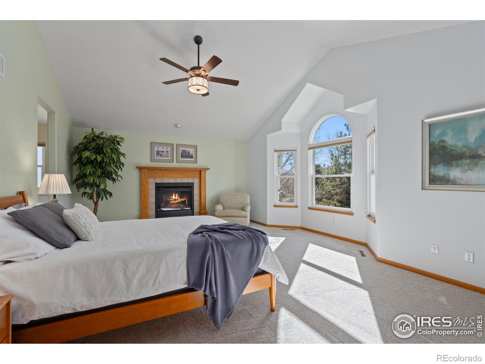 MLS Image #10 for 1739  feltleaf court,fort collins, Colorado