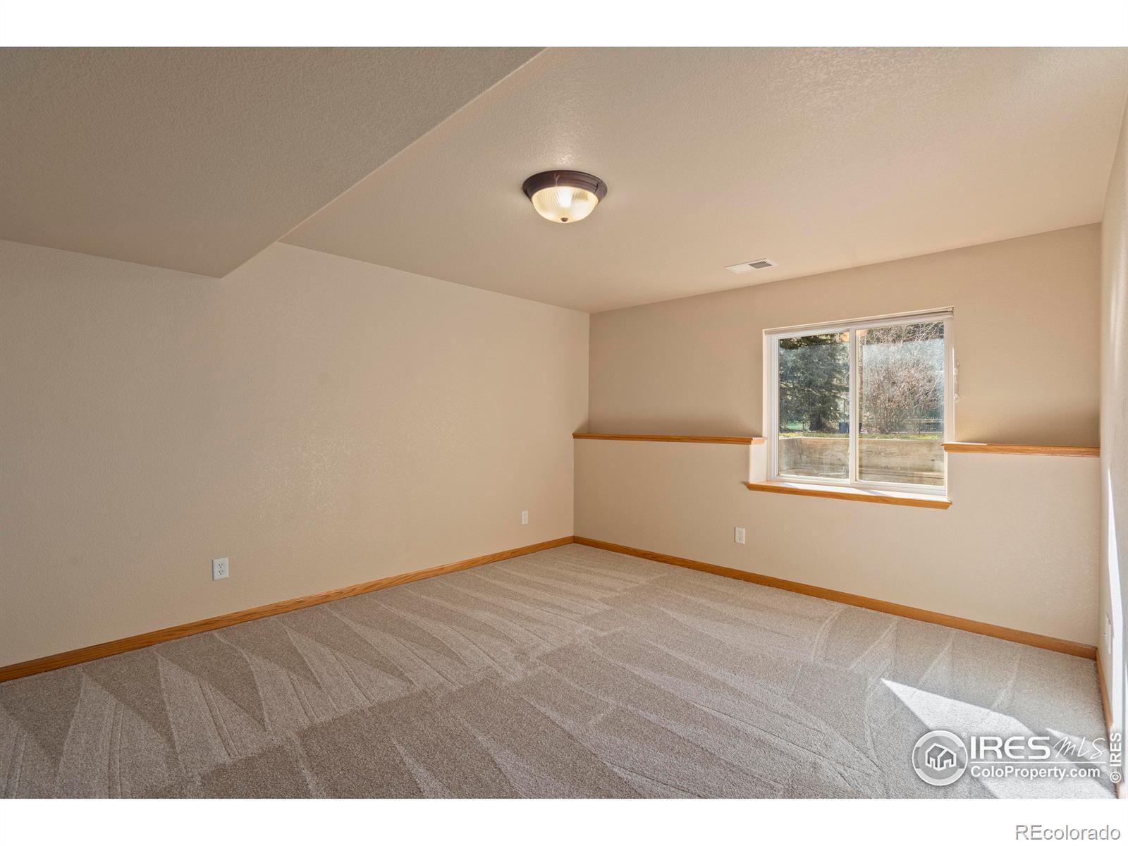 MLS Image #20 for 1739  feltleaf court,fort collins, Colorado