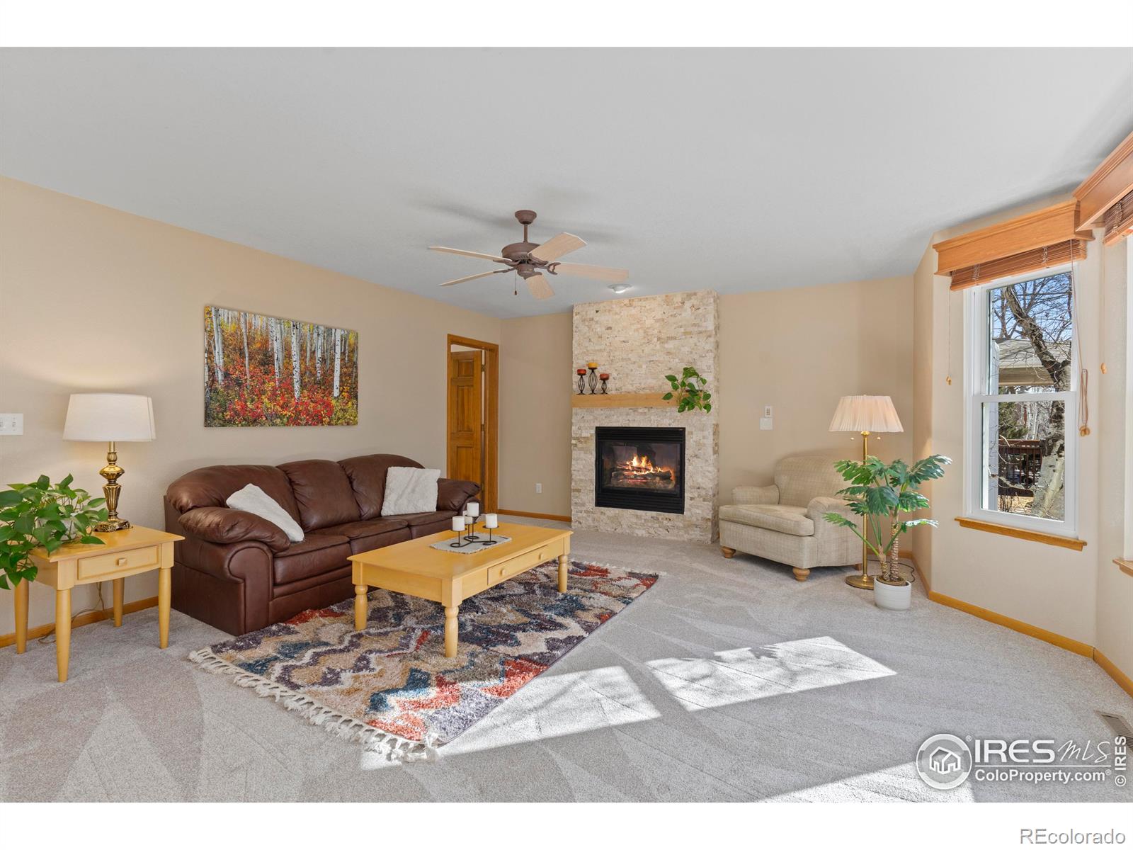 MLS Image #5 for 1739  feltleaf court,fort collins, Colorado