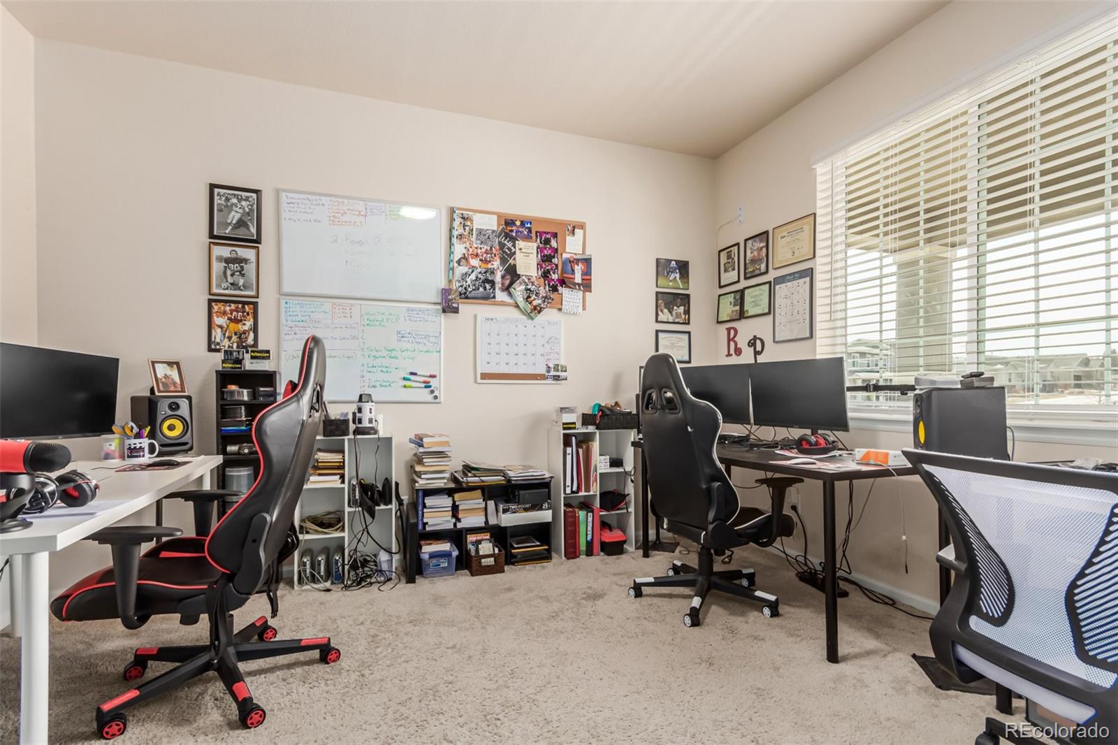 MLS Image #6 for 3659  makley circle,castle rock, Colorado