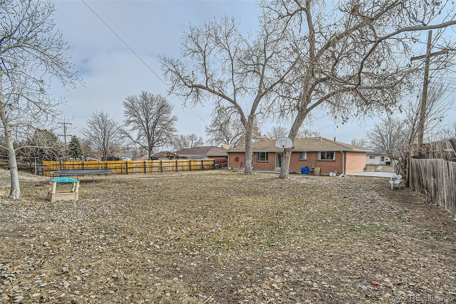 MLS Image #15 for 8471  rainbow avenue,denver, Colorado