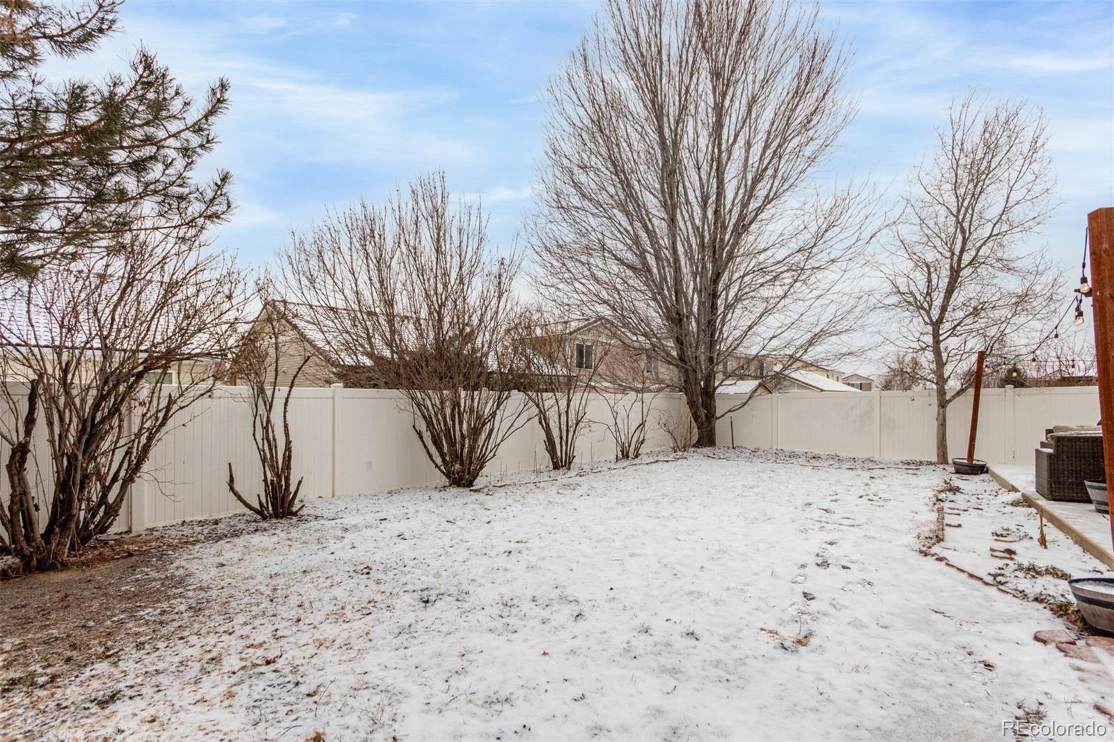 MLS Image #20 for 20498  march drive,denver, Colorado