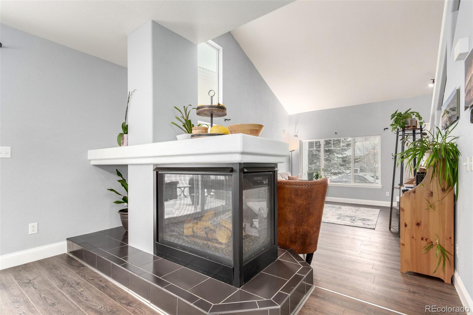 MLS Image #6 for 20498  march drive,denver, Colorado