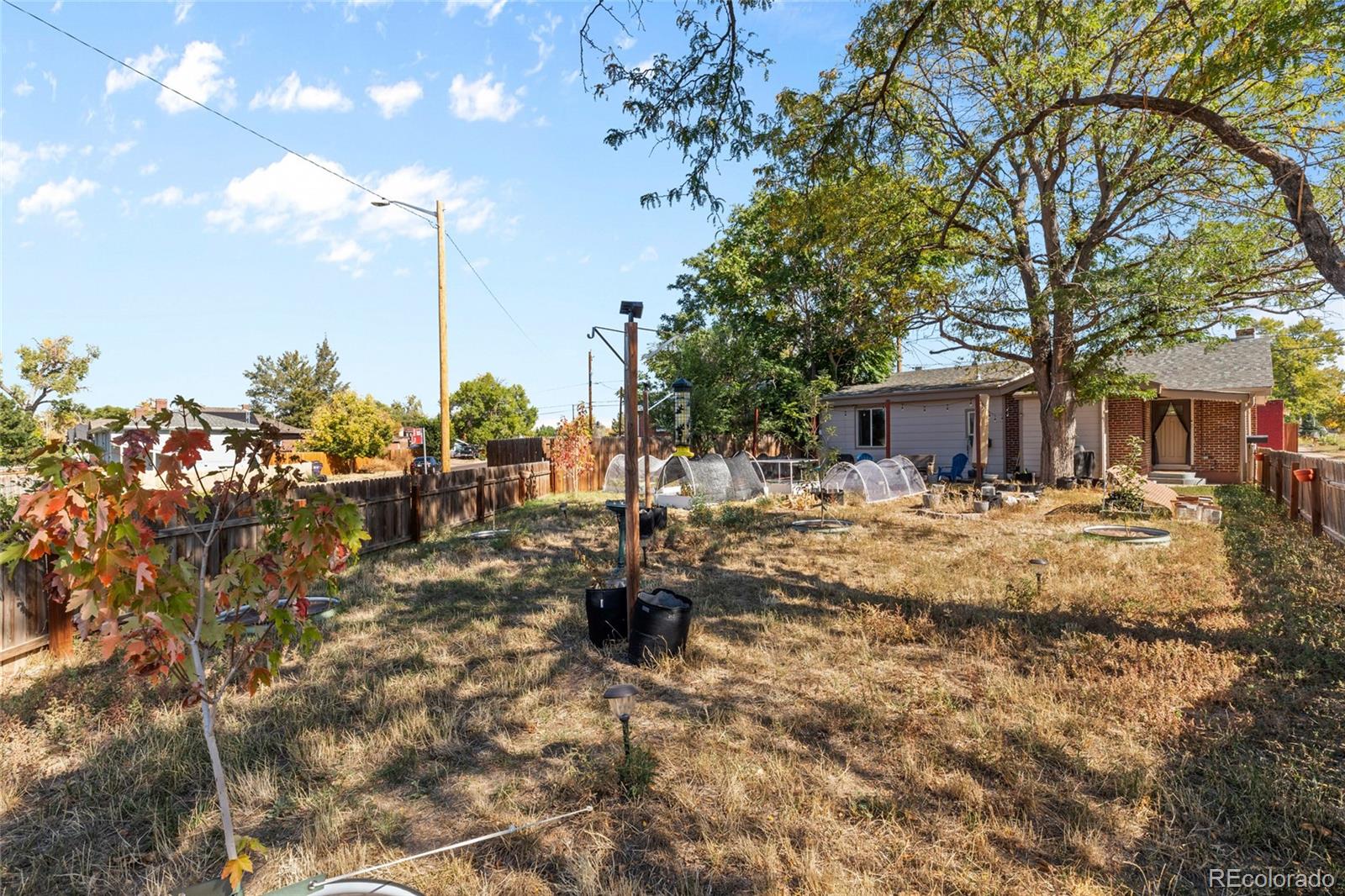 MLS Image #18 for 3102 n columbine street,denver, Colorado