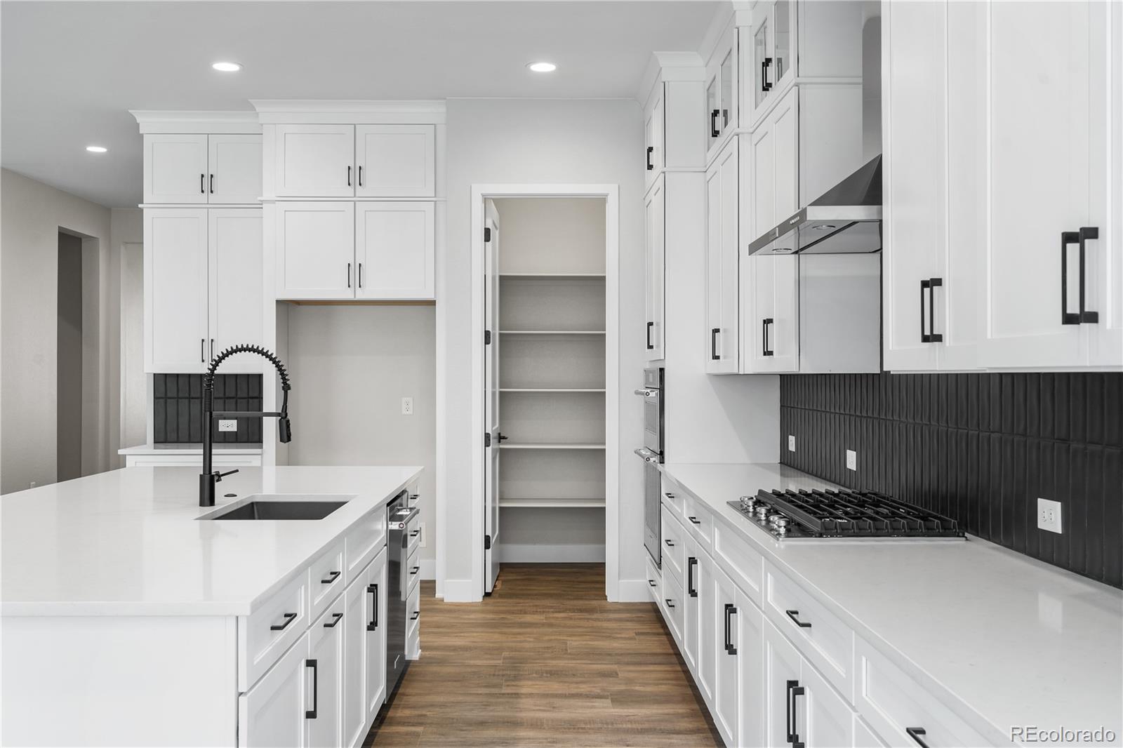 MLS Image #8 for 11482  autumn moon street,littleton, Colorado