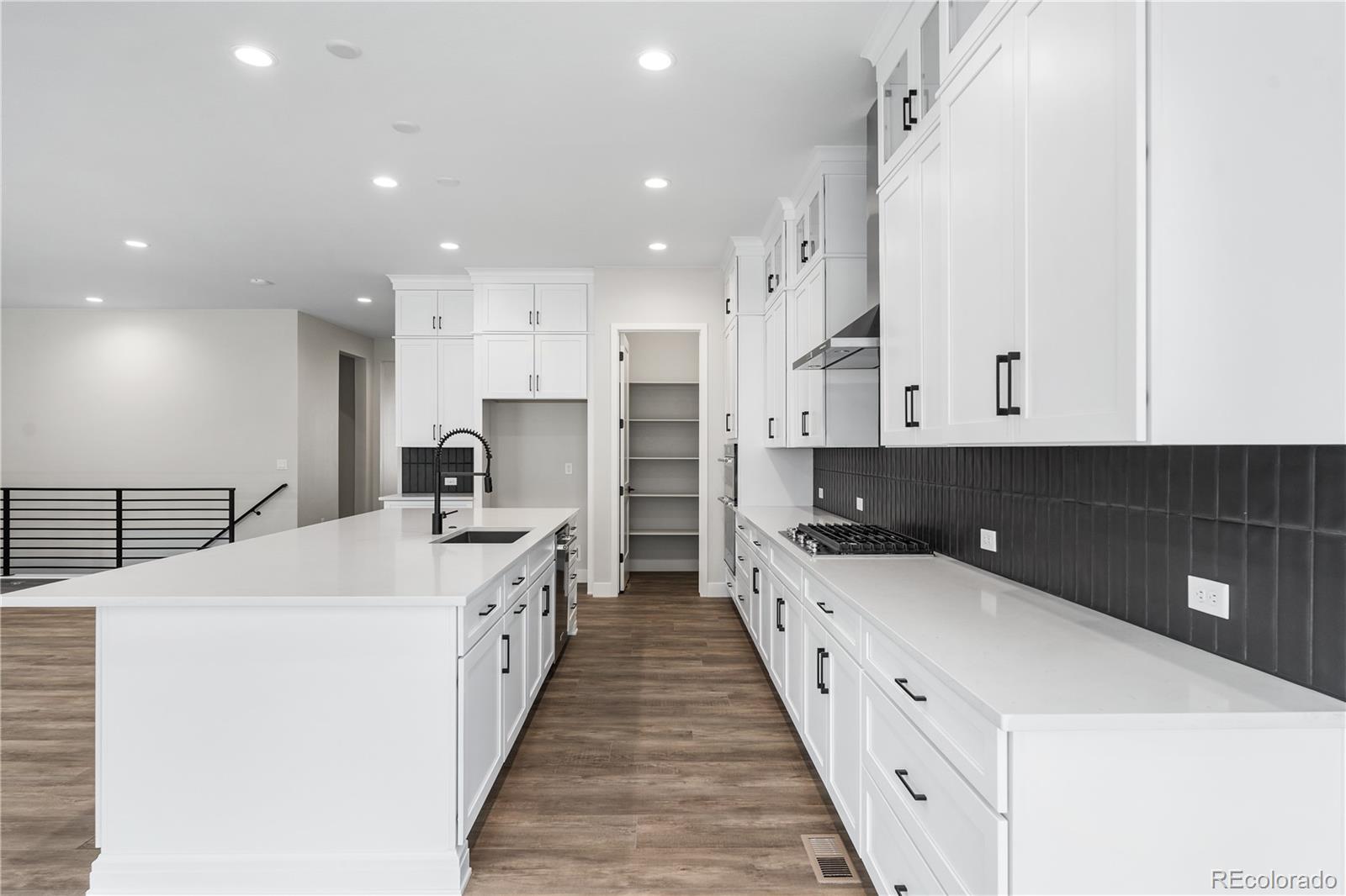 MLS Image #9 for 11482  autumn moon street,littleton, Colorado