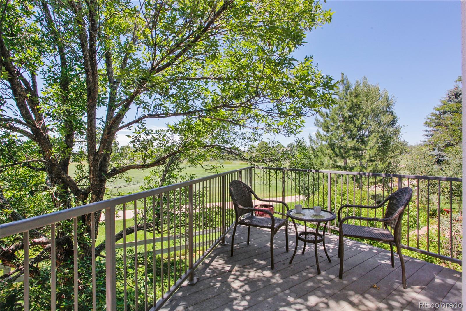 MLS Image #20 for 7311  brixham circle,castle pines, Colorado