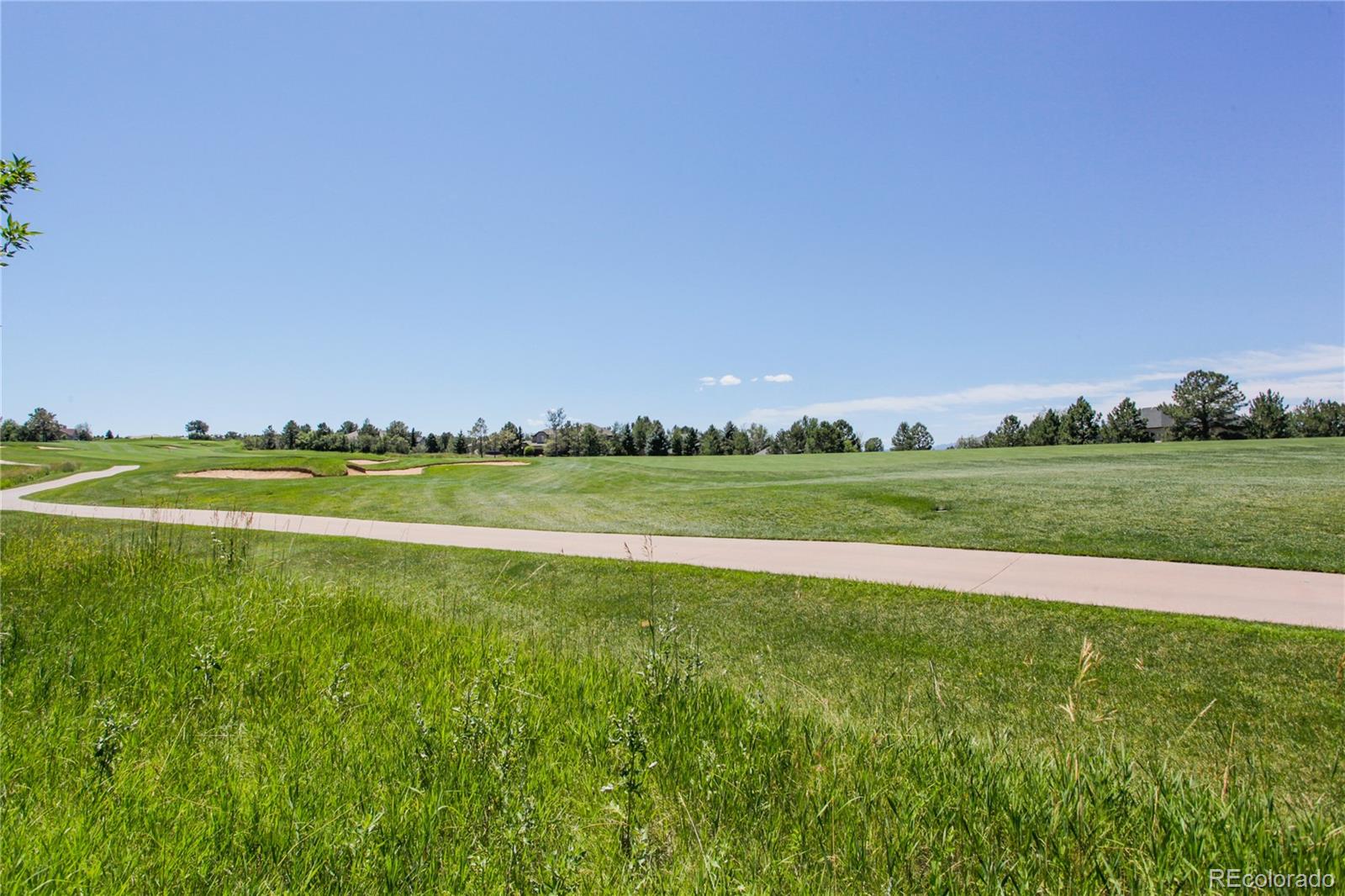 MLS Image #36 for 7311  brixham circle,castle pines, Colorado