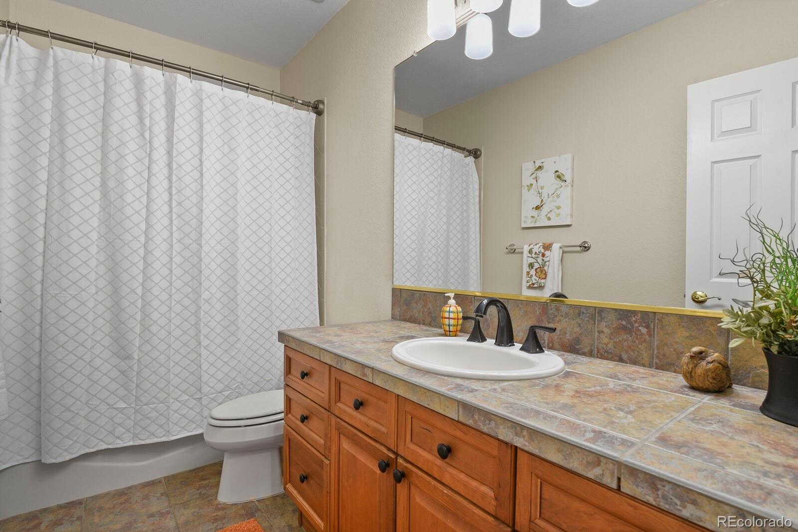 MLS Image #39 for 5421  potentilla court,parker, Colorado