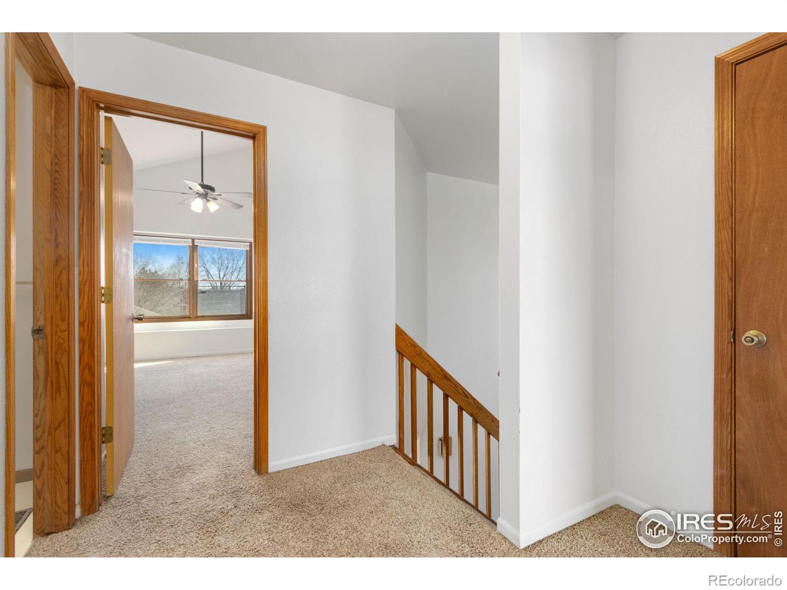 MLS Image #19 for 3304  collins avenue,evans, Colorado