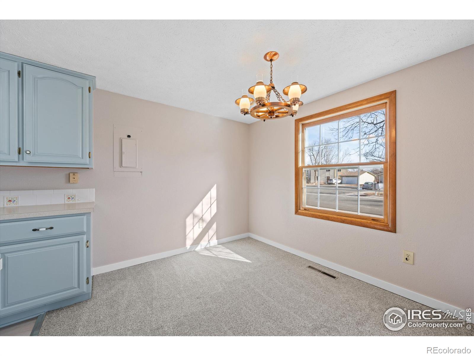 MLS Image #6 for 3161  birmingham drive,fort collins, Colorado