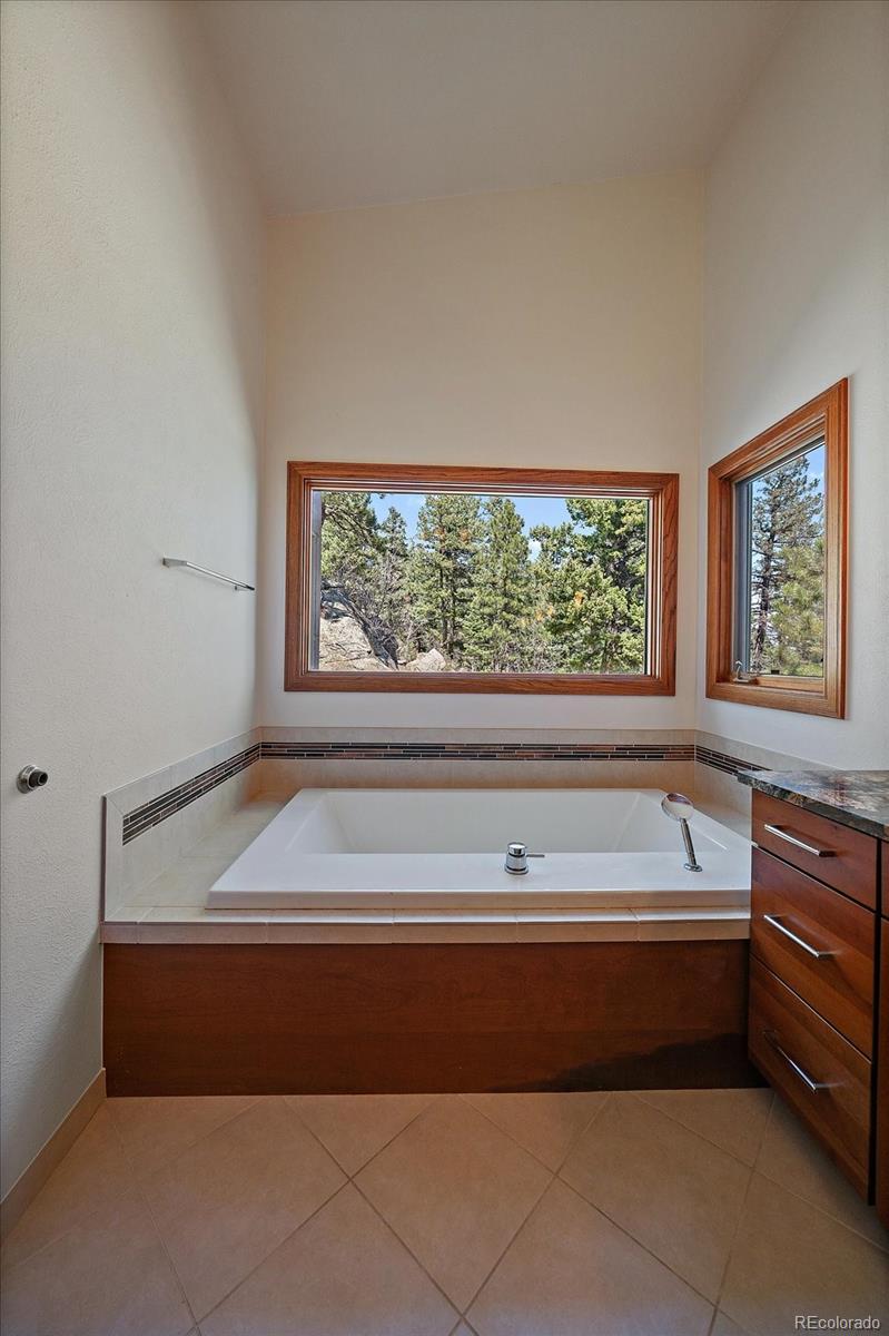 MLS Image #21 for 5197  bear mountain drive,evergreen, Colorado