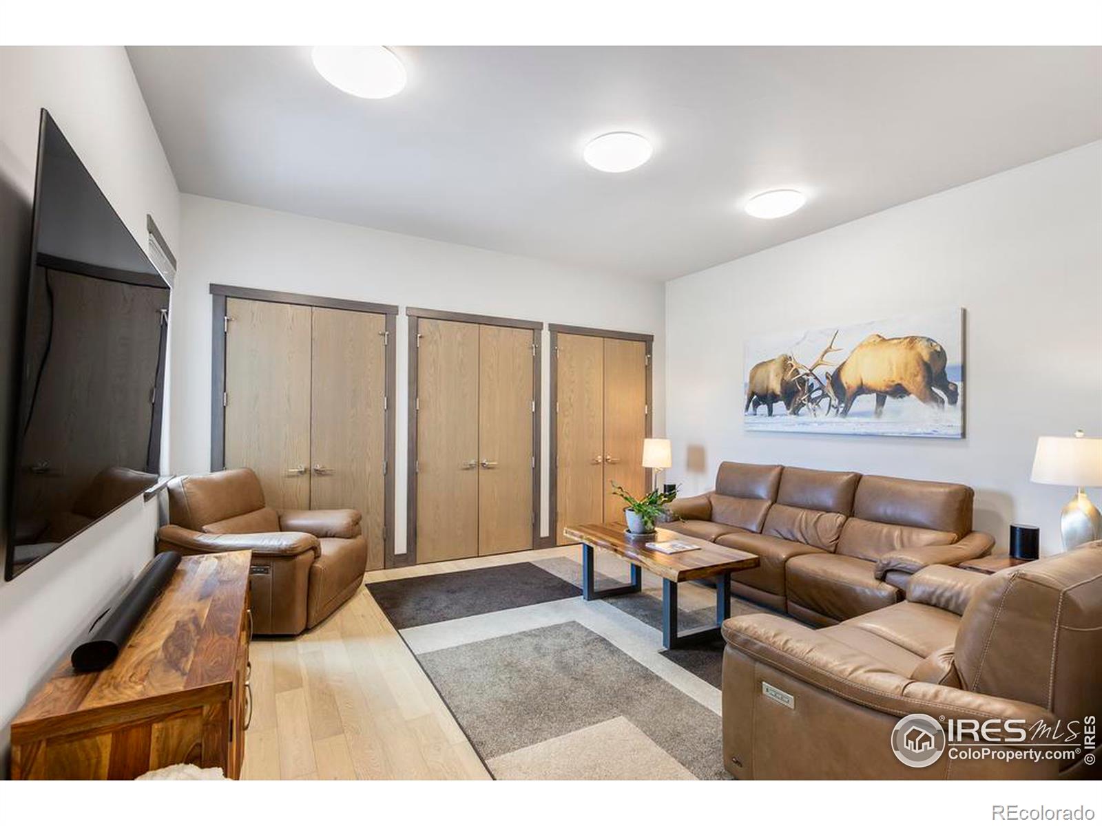 MLS Image #21 for 1376  deer path court,estes park, Colorado