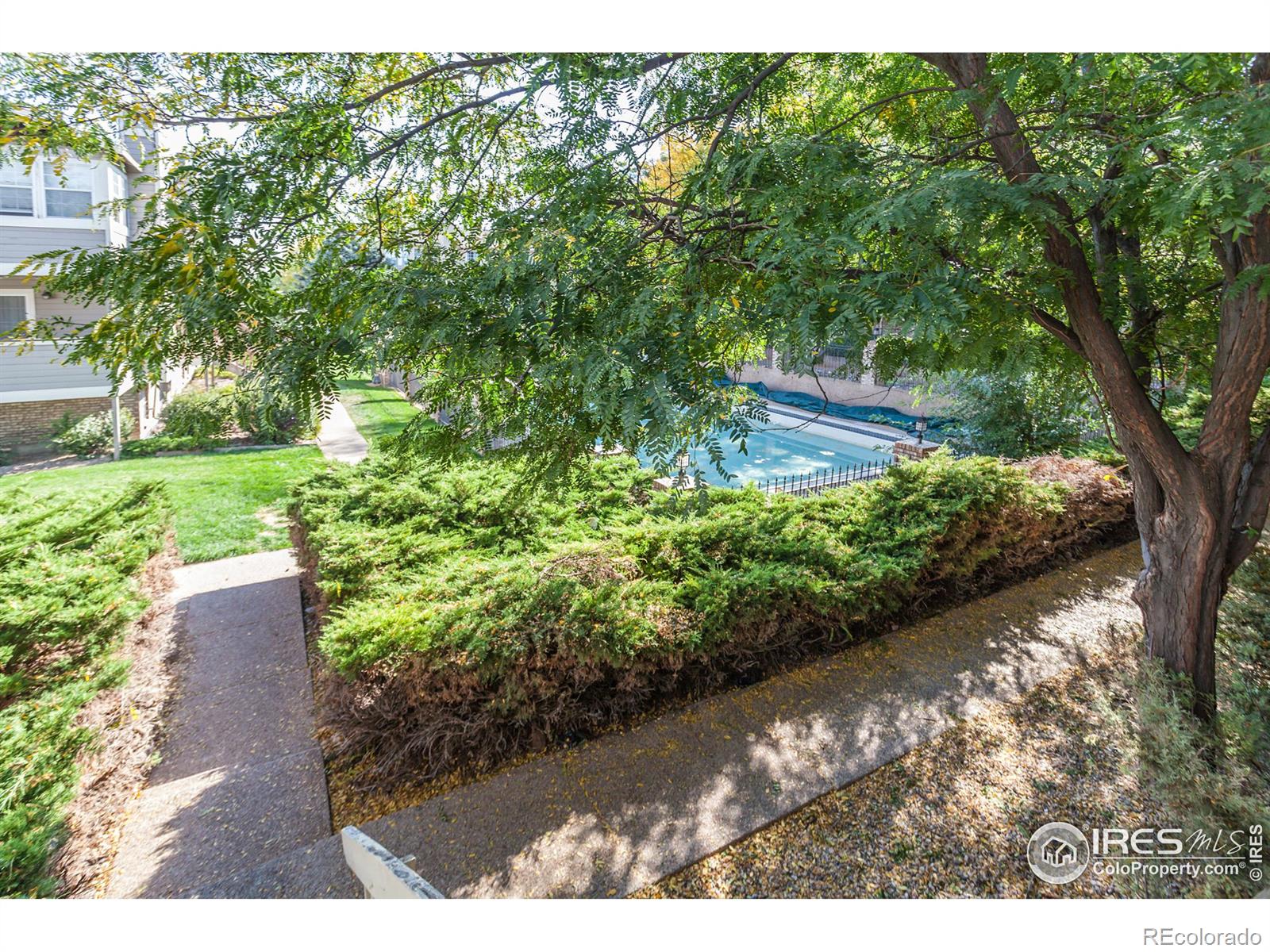 MLS Image #30 for 3200  azalea drive,fort collins, Colorado