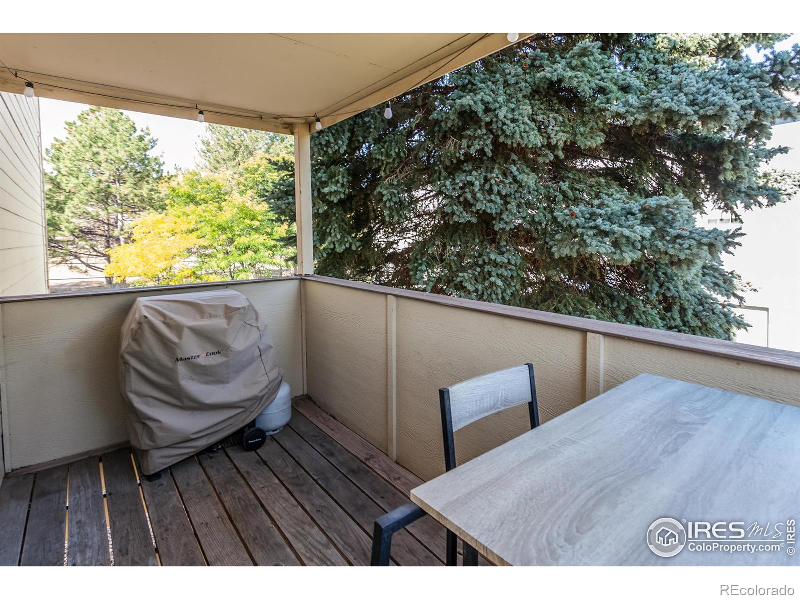 MLS Image #7 for 3200  azalea drive,fort collins, Colorado