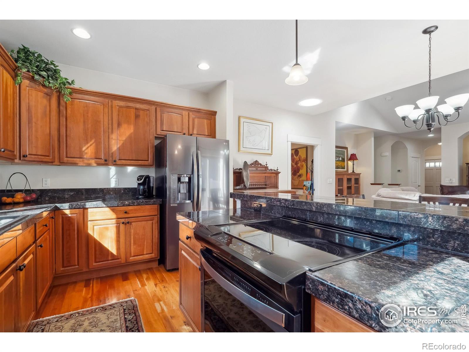 MLS Image #10 for 1451  moonlight drive,longmont, Colorado