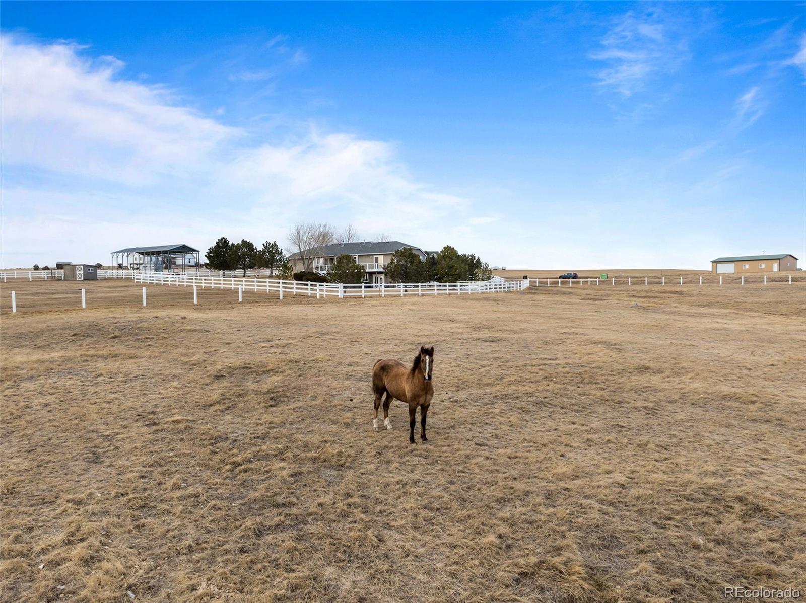 MLS Image #19 for 6620  shannon circle,kiowa, Colorado