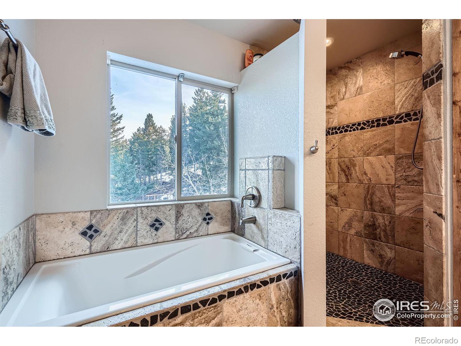 MLS Image #15 for 11932  coal creek heights drive,golden, Colorado