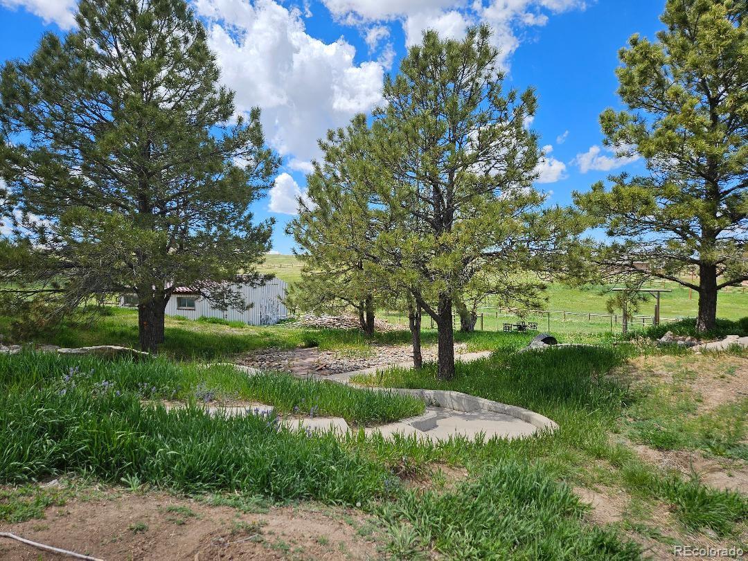 MLS Image #35 for 34358  goldenrod circle,kiowa, Colorado