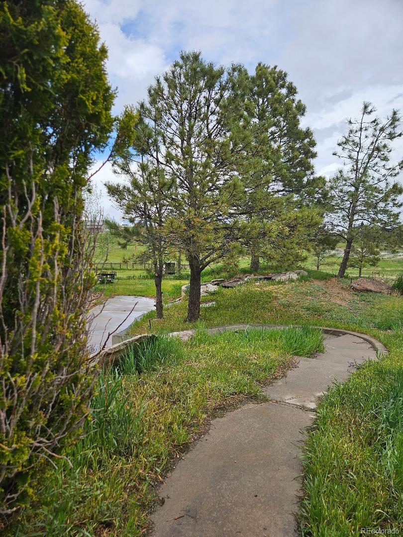 MLS Image #36 for 34358  goldenrod circle,kiowa, Colorado