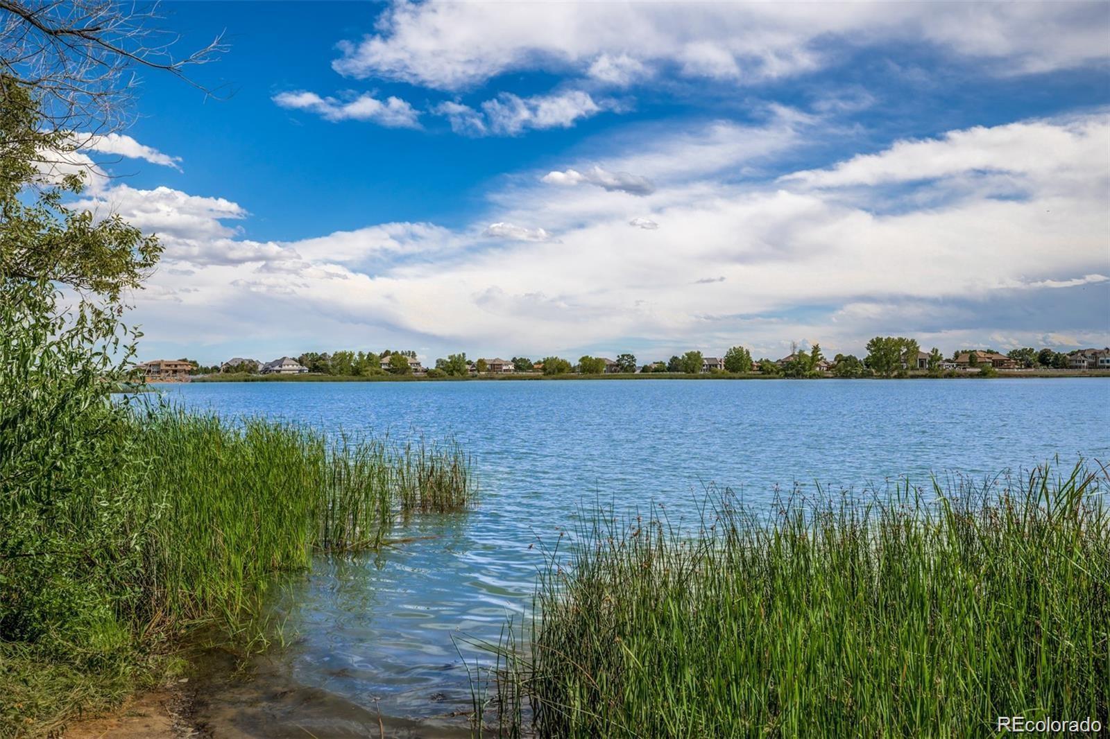 MLS Image #45 for 13878  barbour street,broomfield, Colorado