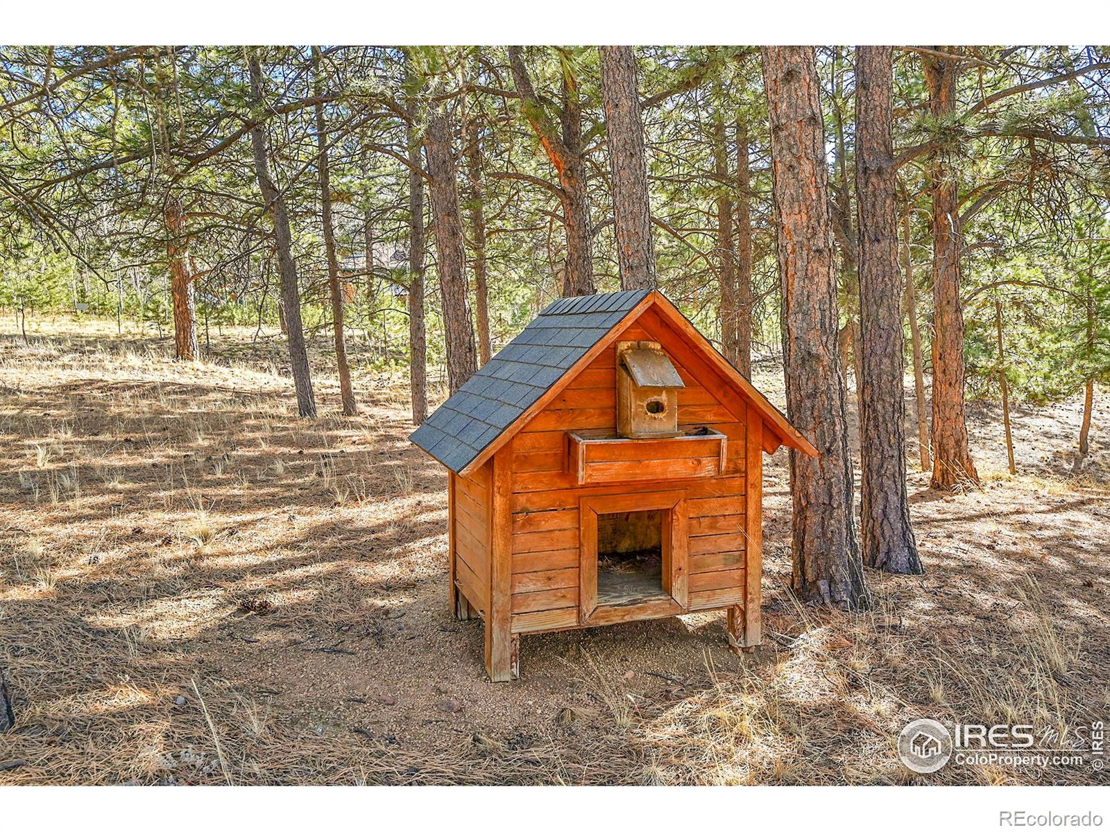 MLS Image #10 for 290  clark road,bailey, Colorado