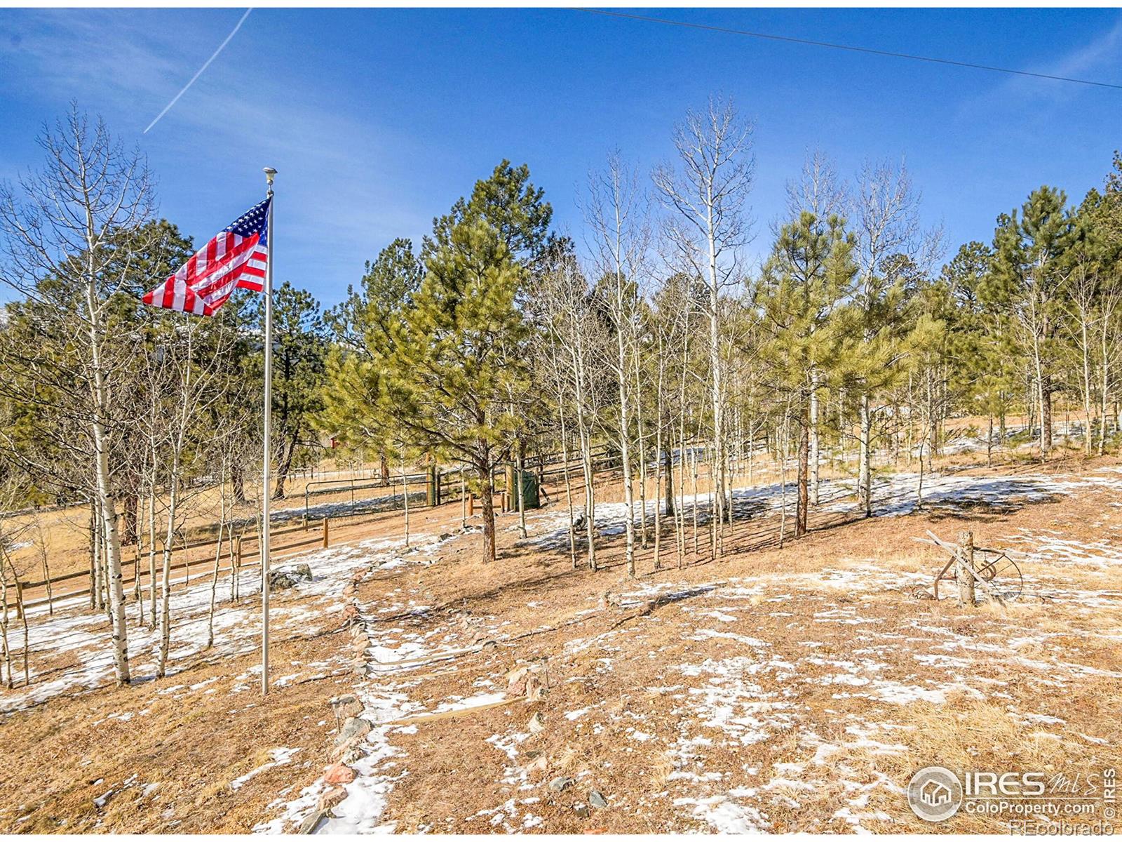 MLS Image #4 for 290  clark road,bailey, Colorado