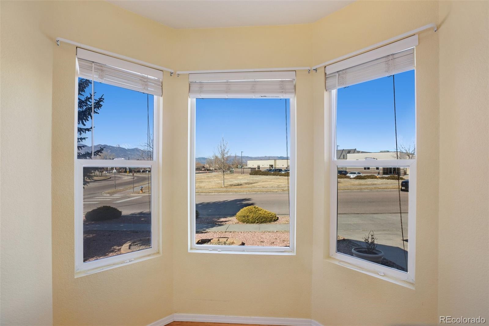 MLS Image #9 for 4803  tory ridge drive,colorado springs, Colorado