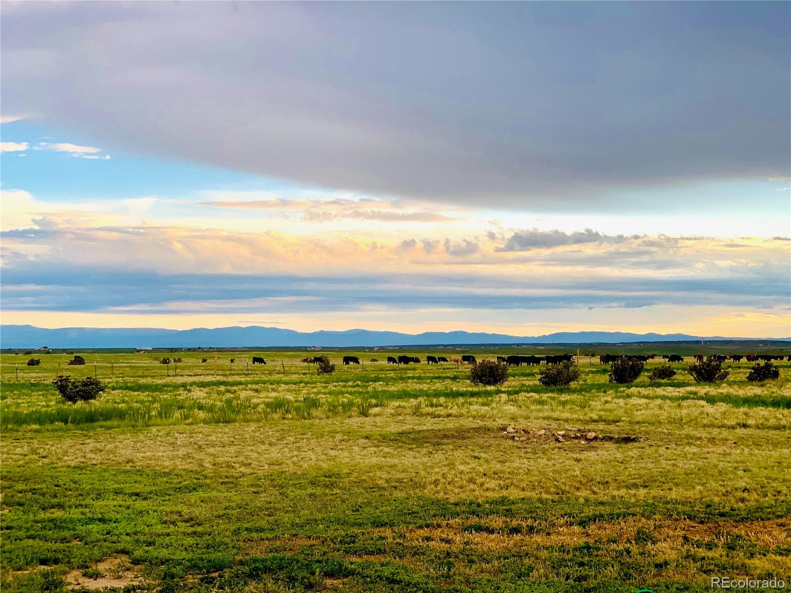 MLS Image #37 for 9775  avenida alegre point,fountain, Colorado