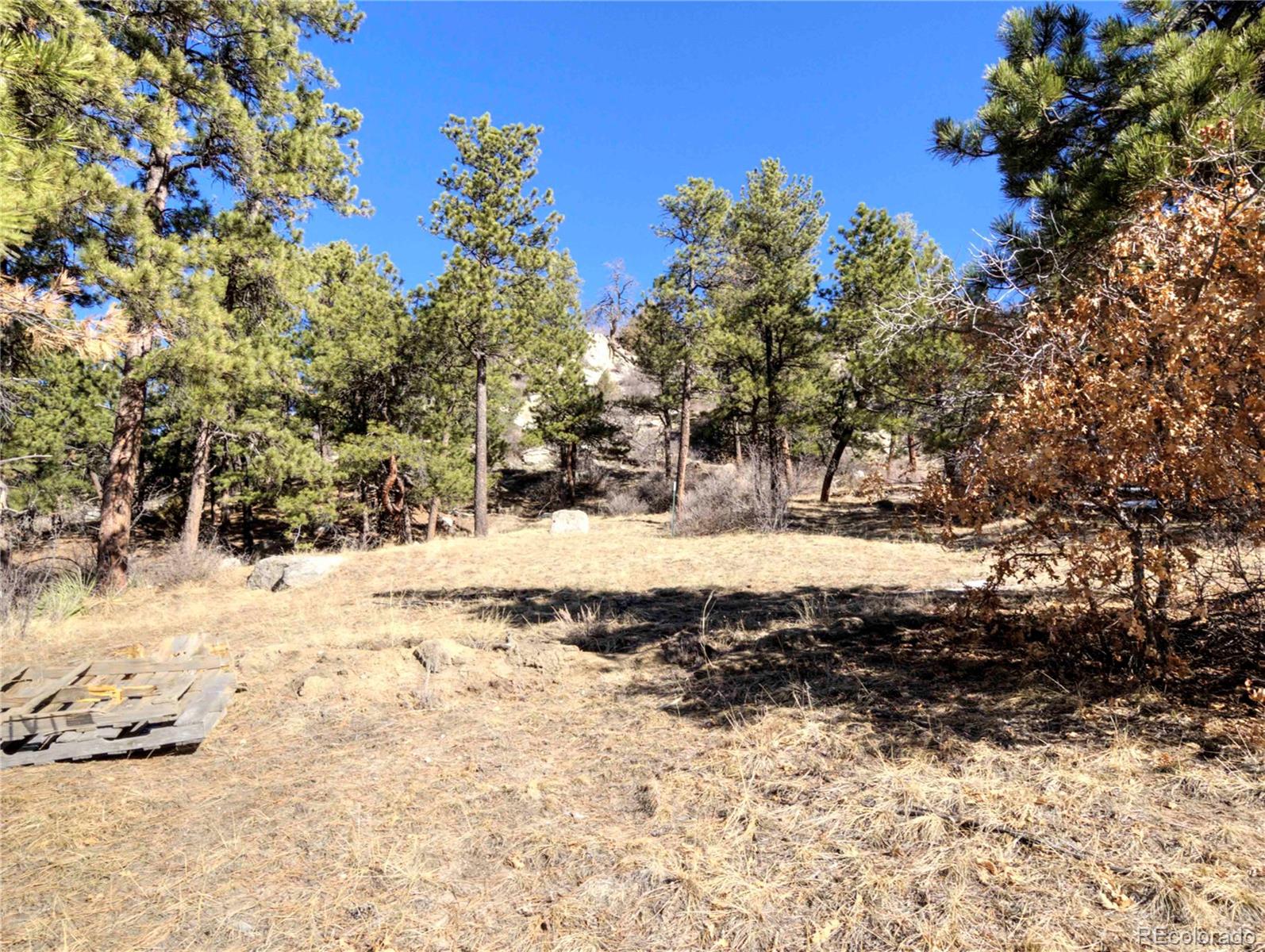 MLS Image #39 for 18864  smokey pine road,peyton, Colorado