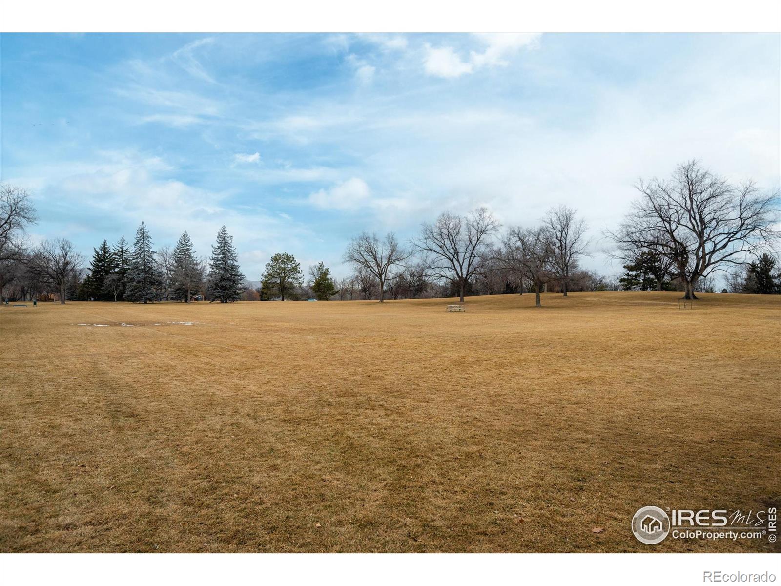 MLS Image #33 for 1410  laporte avenue,fort collins, Colorado