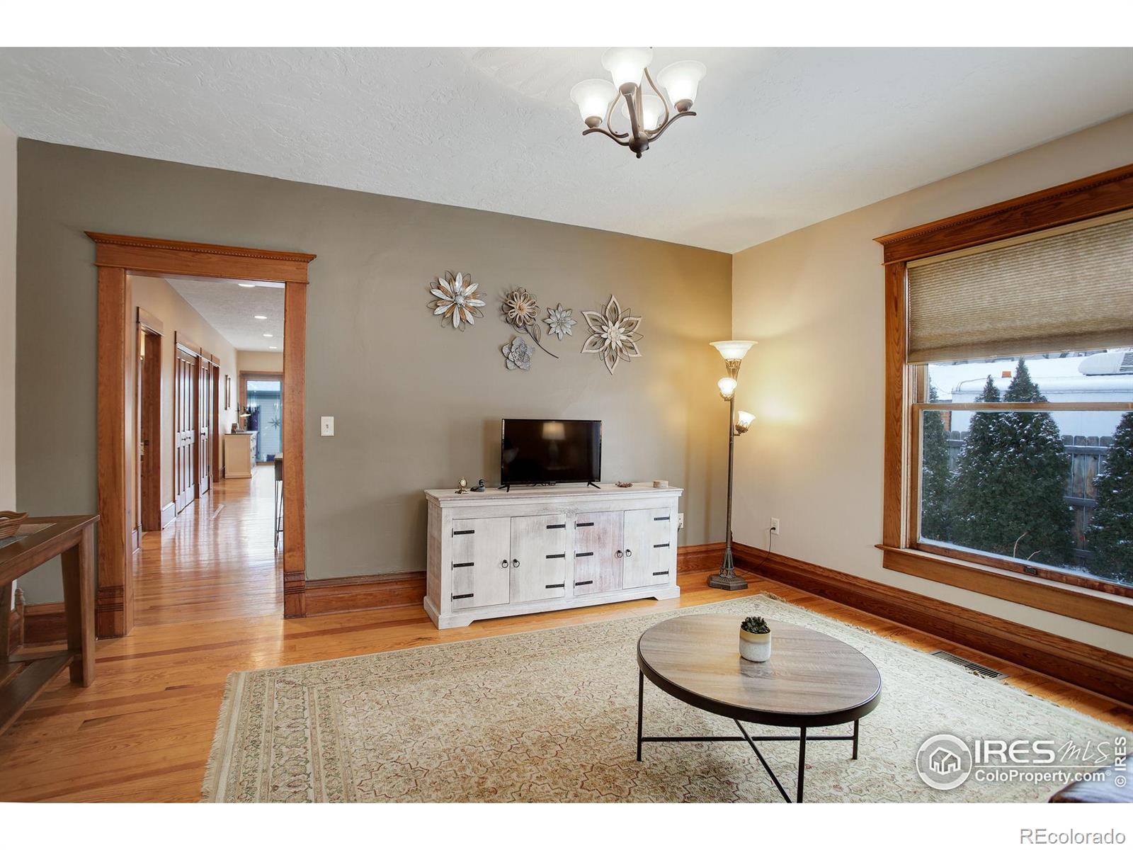 MLS Image #11 for 428 n grant avenue,loveland, Colorado